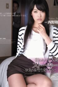 RBD-441 Cinta Ditolak Penguntit Bertindak – Shou Nishino